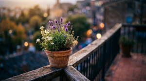 Thailand retirement visa
